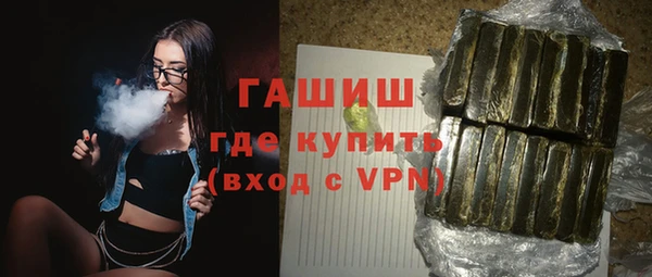 соль ск Ельня