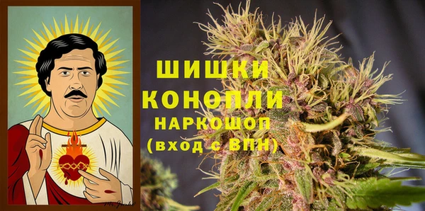 сатива Заволжск