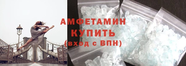 прущие грибы Елизово