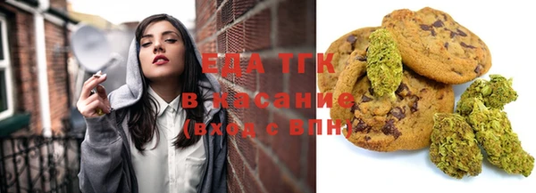 соль ск Ельня